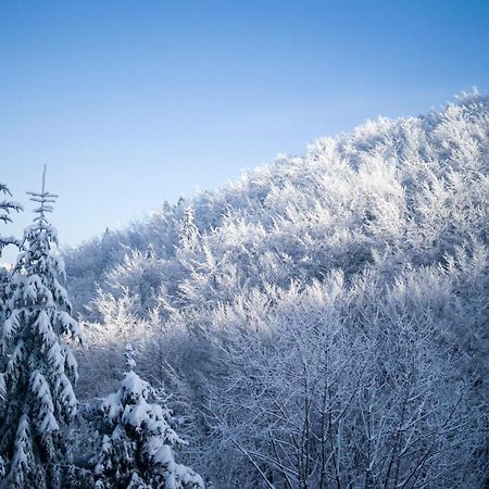 Poniwiec Mala Czantoria Устронь Экстерьер фото